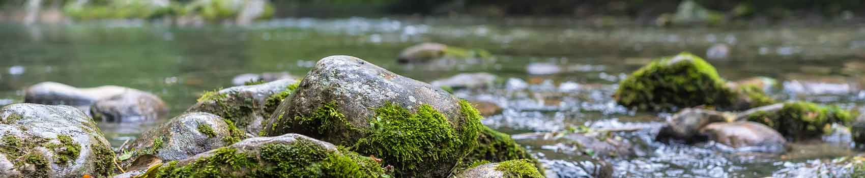 Innovation focus ADN Environnementale bandeau