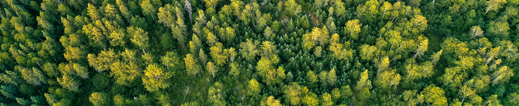 Sce entreprise à mission